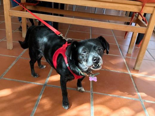 multimedia-foto42188-663-3