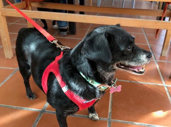 multimedia-foto42189-691-3