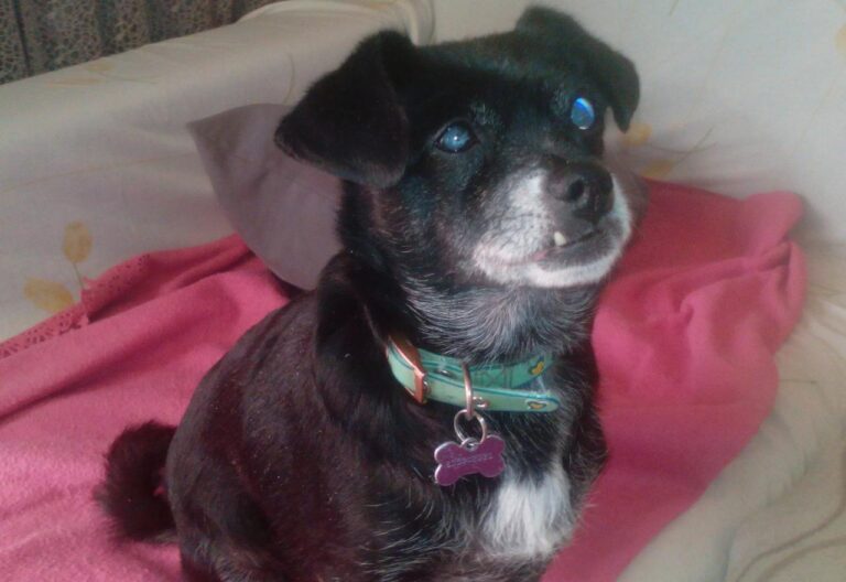 multimedia-foto42190-691-3