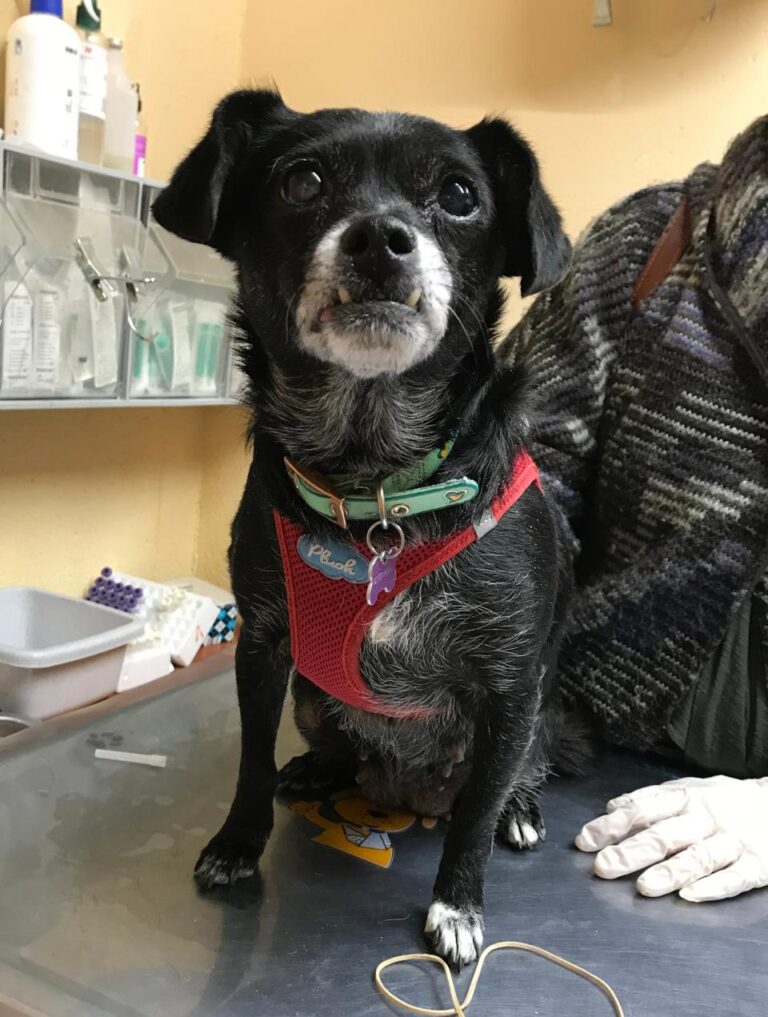 multimedia-foto42191-692-3