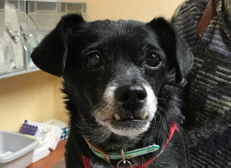 multimedia-foto42192-692-3