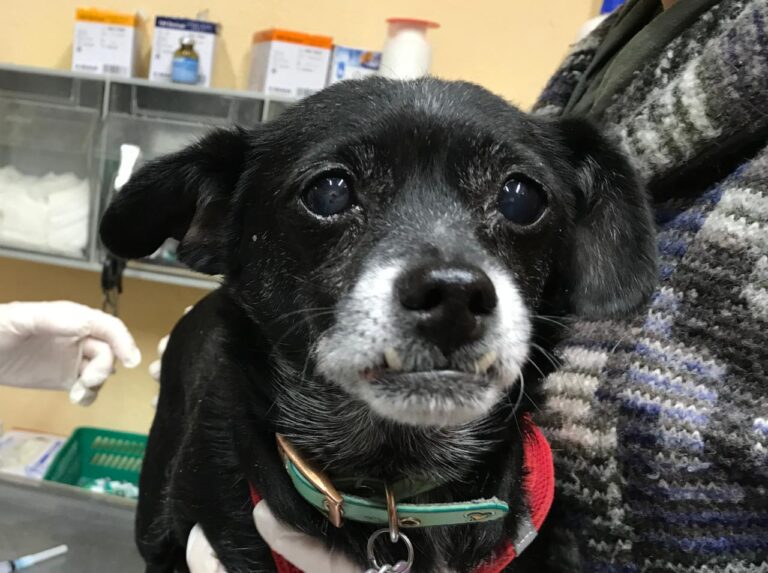 multimedia-foto42193-729-3