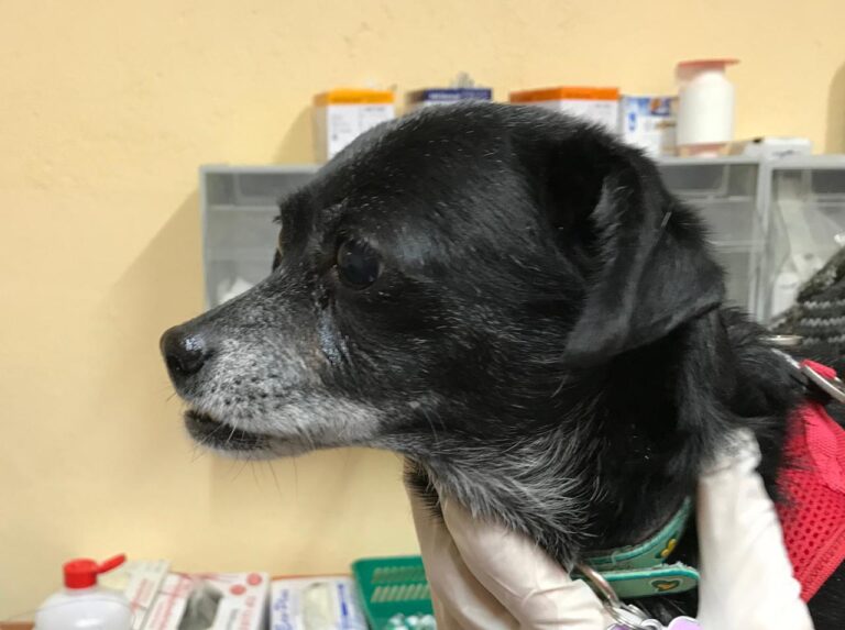 multimedia-foto42194-729-3