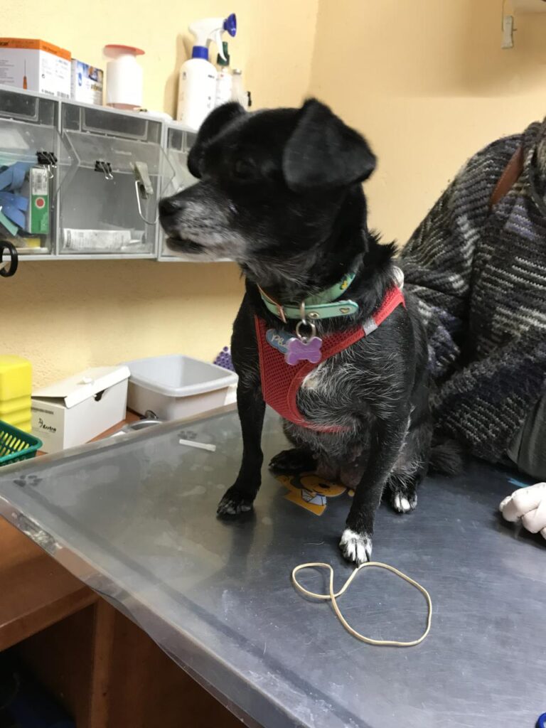 multimedia-foto42195-729-3