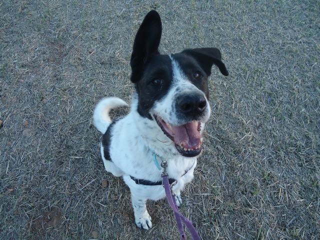 multimedia-foto42215-210-3