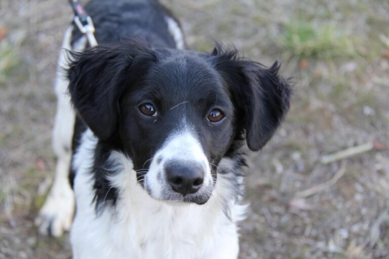 multimedia-foto42262-203-3