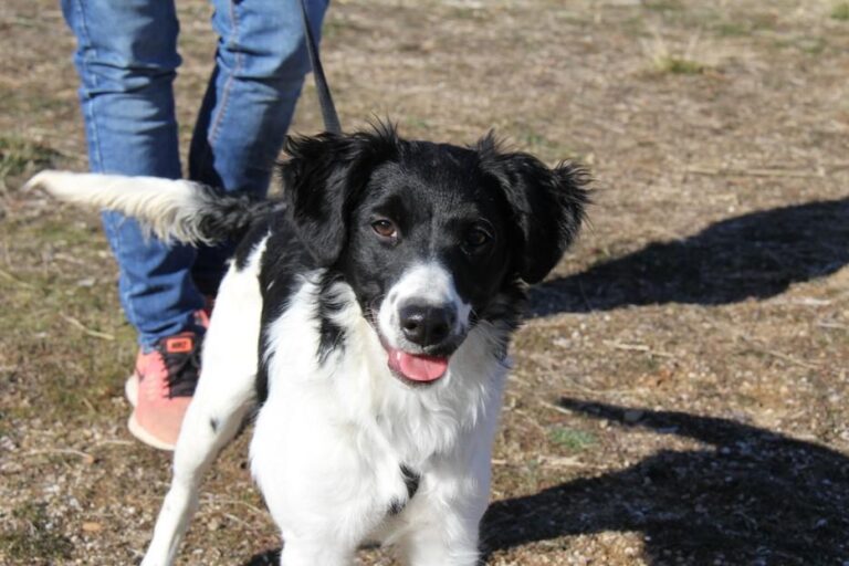 multimedia-foto42264-203-3