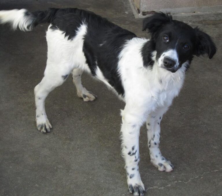 multimedia-foto42265-203-3