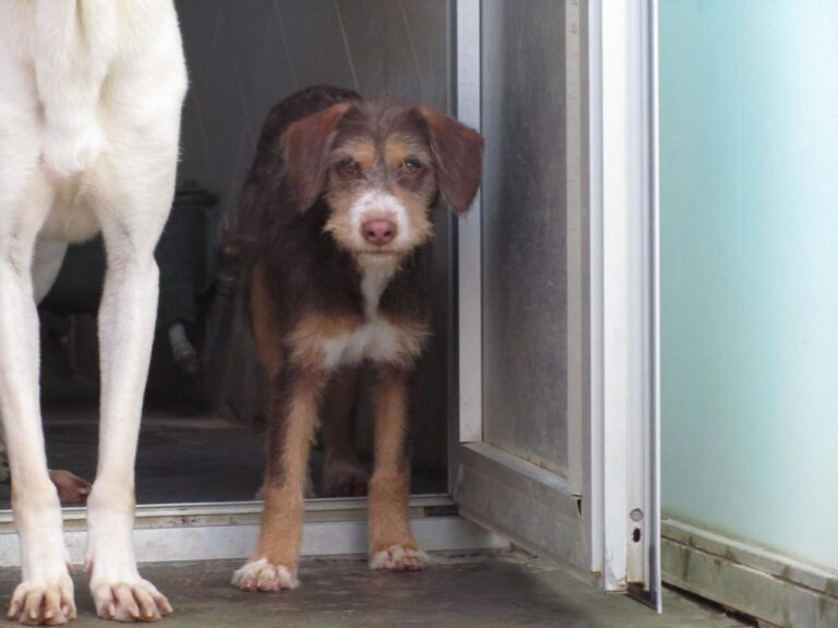 multimedia-foto42272-291-3