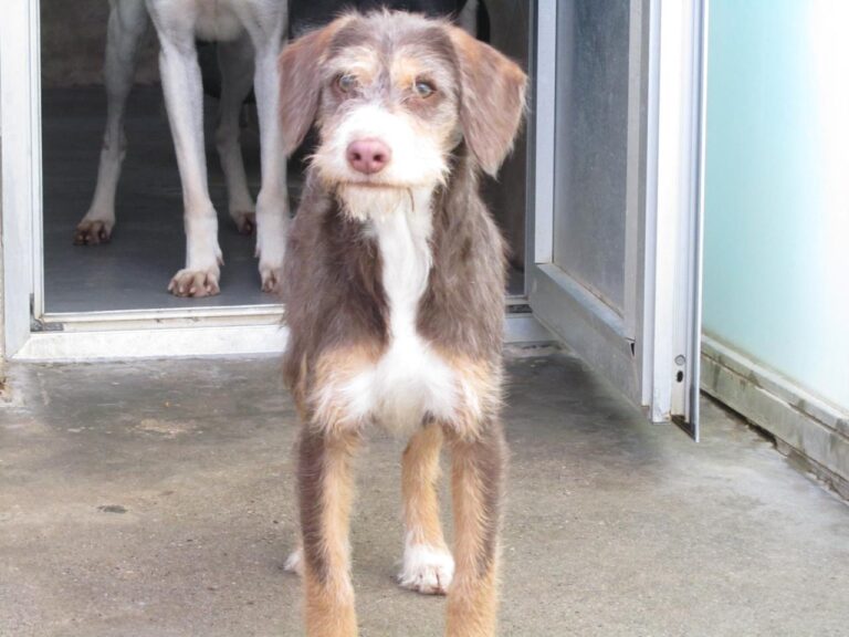 multimedia-foto42273-291-3