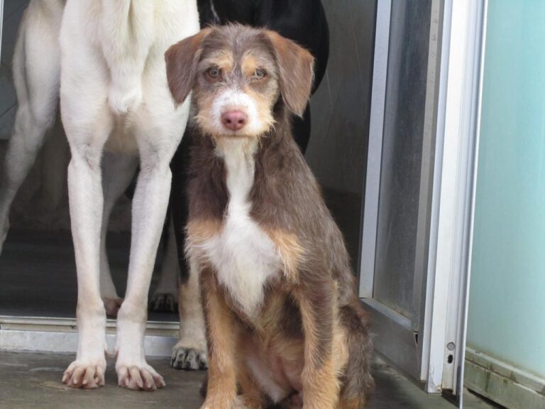 multimedia-foto42274-291-3