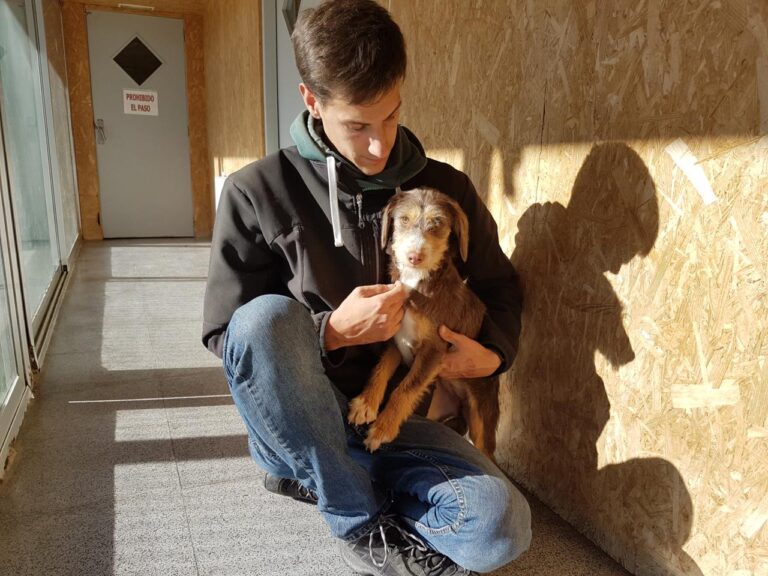 multimedia-foto42275-292-3