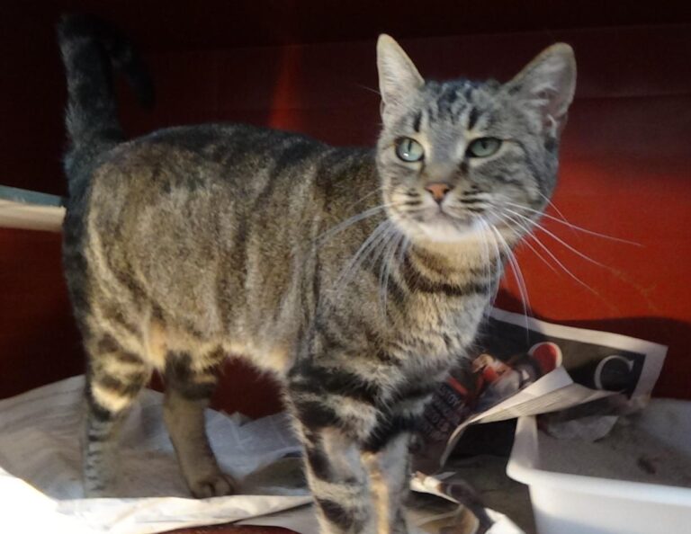 multimedia-foto42276-296-3