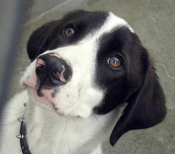 multimedia-foto42412-103-3