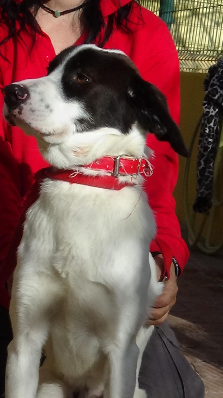 multimedia-foto42414-103-3