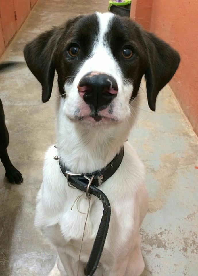 multimedia-foto42415-103-3