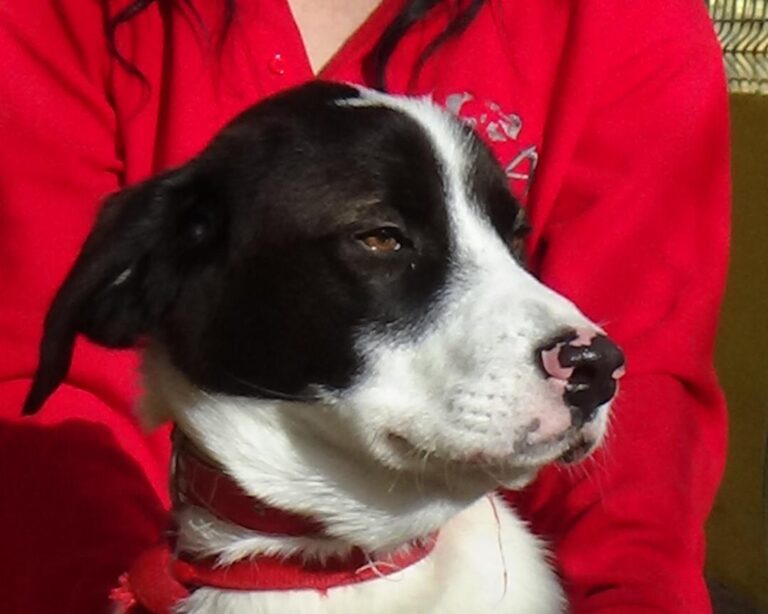 multimedia-foto42416-103-3