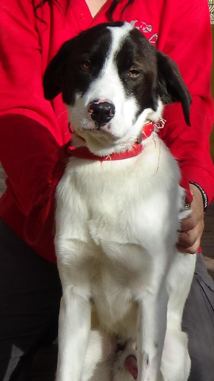 multimedia-foto42417-104-3