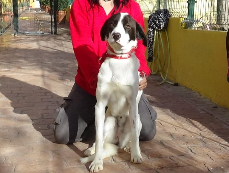 multimedia-foto42420-129-3