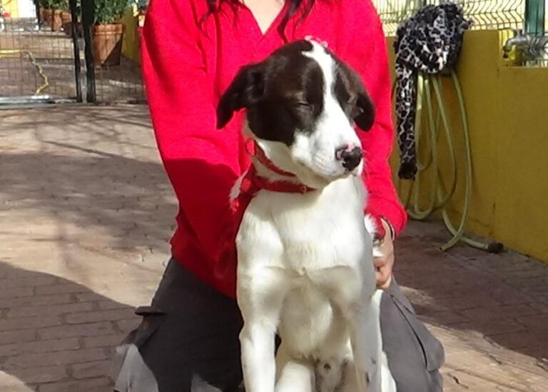 multimedia-foto42421-129-3