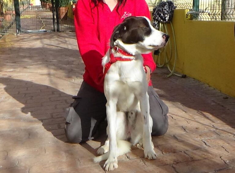 multimedia-foto42422-129-3