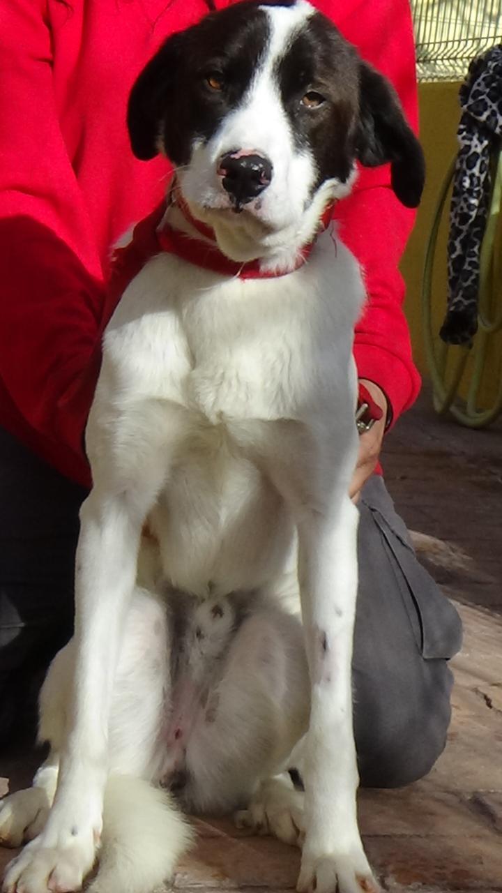 multimedia-foto42423-144-3