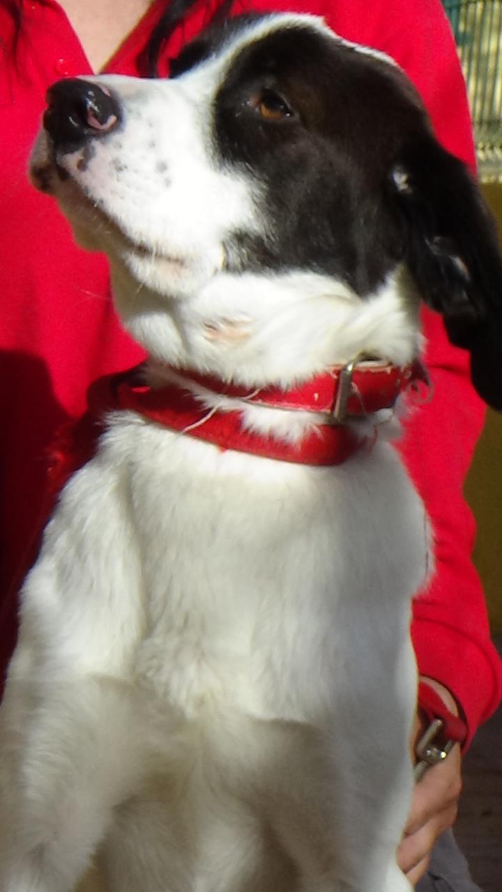 multimedia-foto42424-145-3