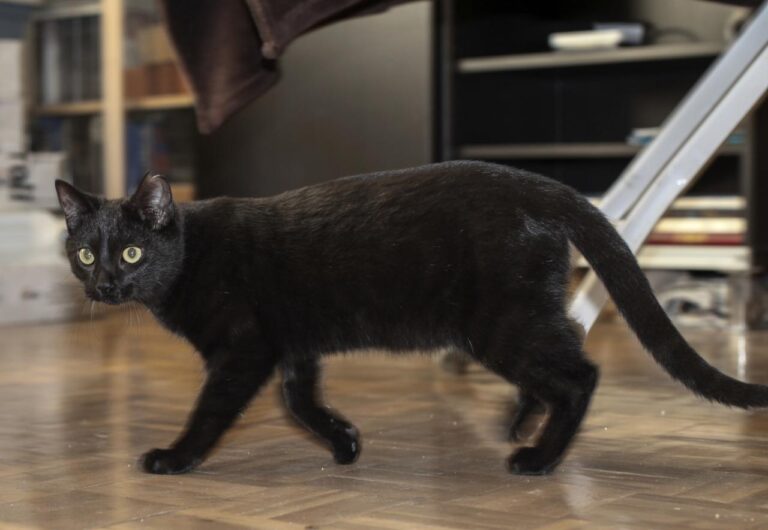 multimedia-foto42607-927-3