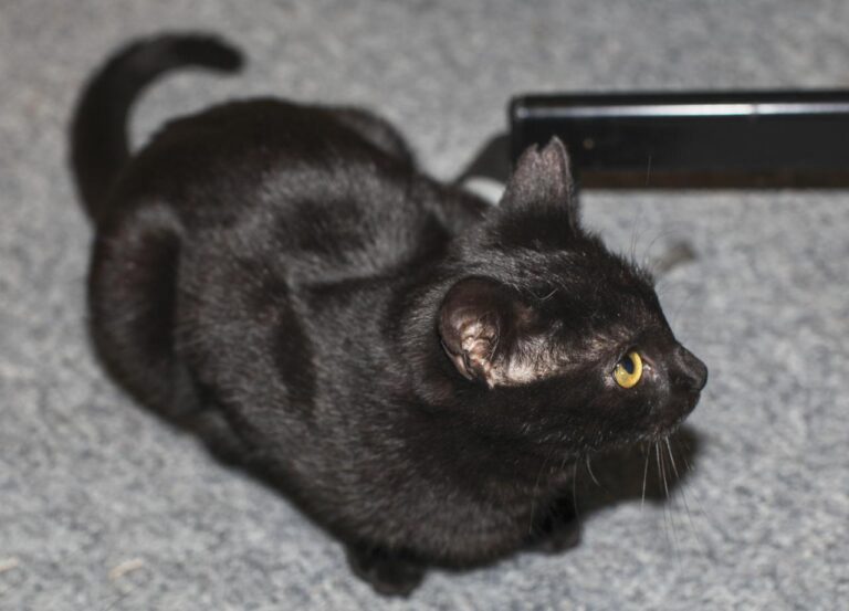 multimedia-foto42609-927-3