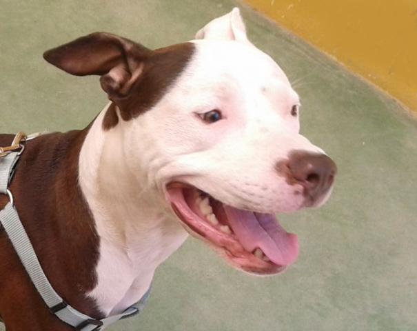 multimedia-foto42613-529-3