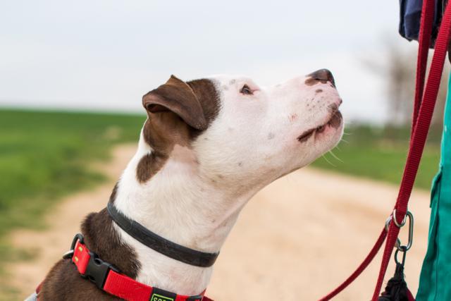 multimedia-foto42614-529-3