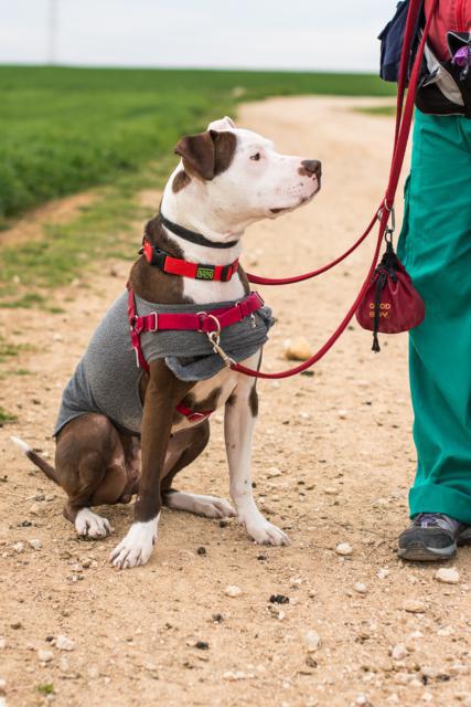 multimedia-foto42615-530-3