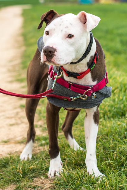 multimedia-foto42616-530-3