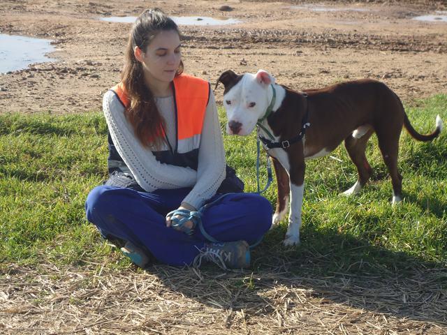 multimedia-foto42619-530-3