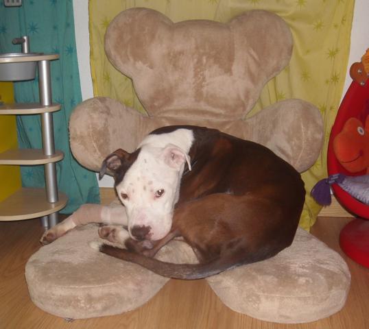 multimedia-foto42622-530-3