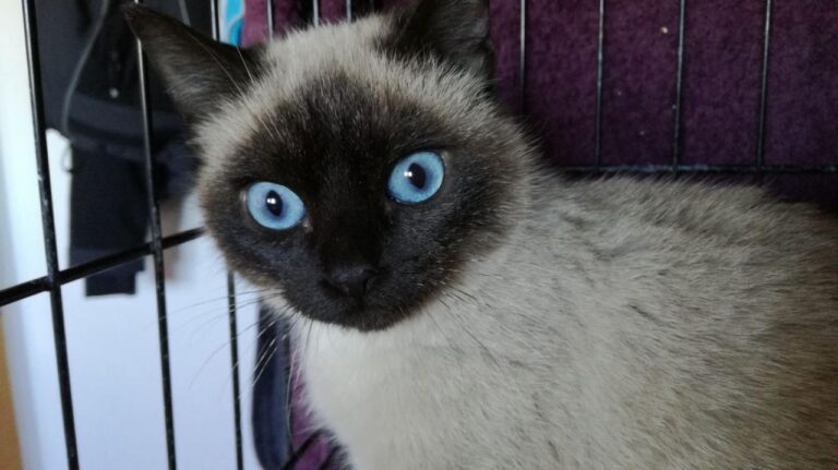 multimedia-foto42639-646-3