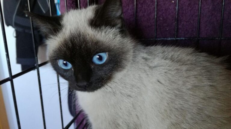 multimedia-foto42640-646-3