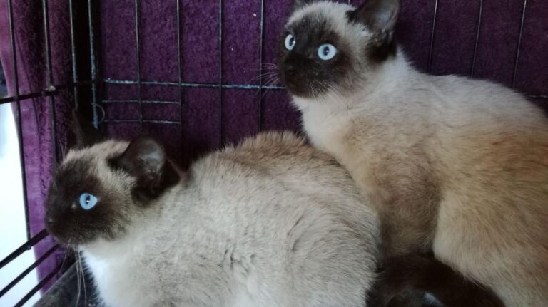 multimedia-foto42641-647-3