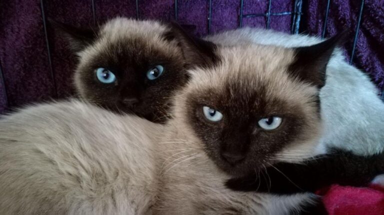 multimedia-foto42642-647-3