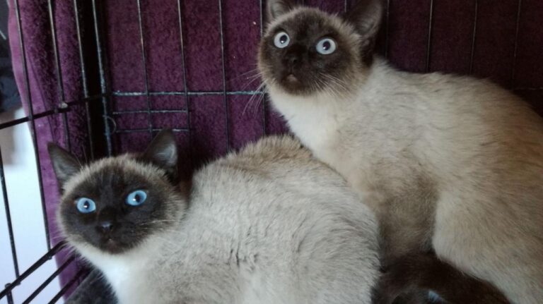 multimedia-foto42643-648-3