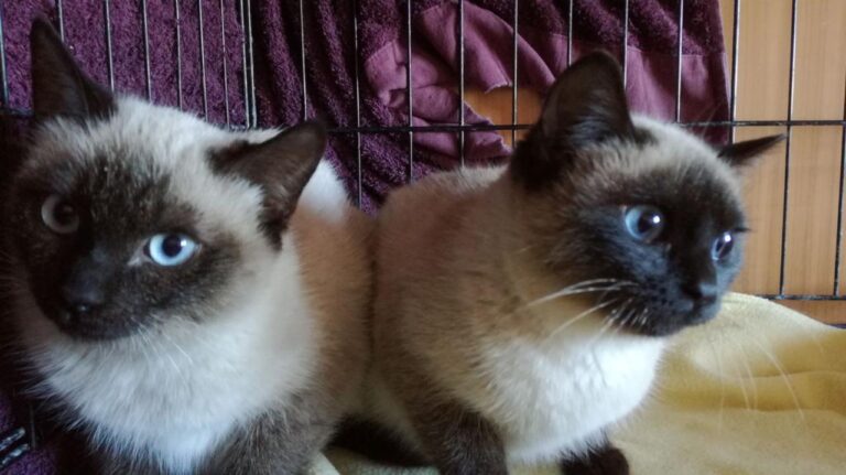 multimedia-foto42644-648-3