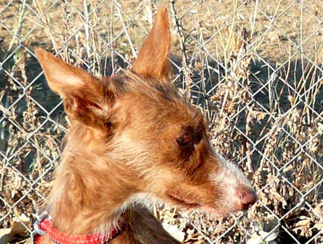 multimedia-foto42653-5-3