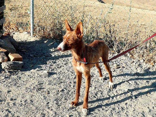 multimedia-foto42655-6-3