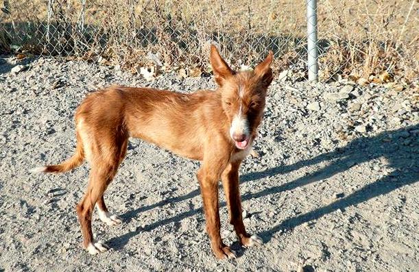 multimedia-foto42656-6-3