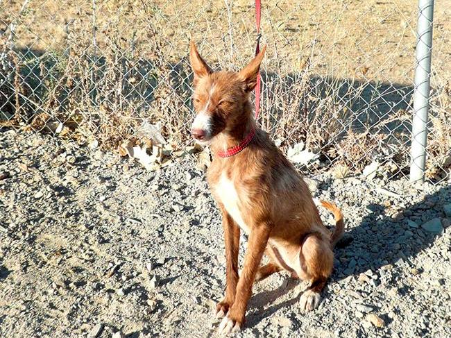 multimedia-foto42657-6-3