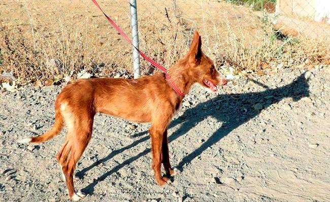 multimedia-foto42658-7-3