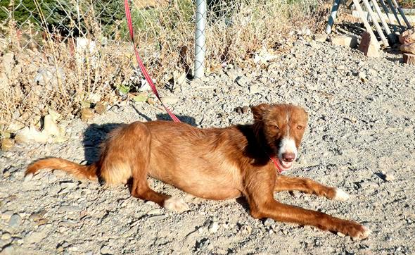 multimedia-foto42659-7-3