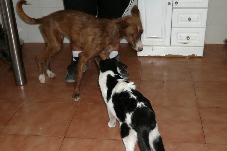 multimedia-foto42660-8-3