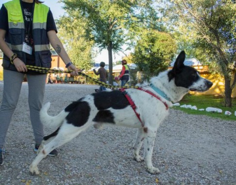 multimedia-foto42662-766-3