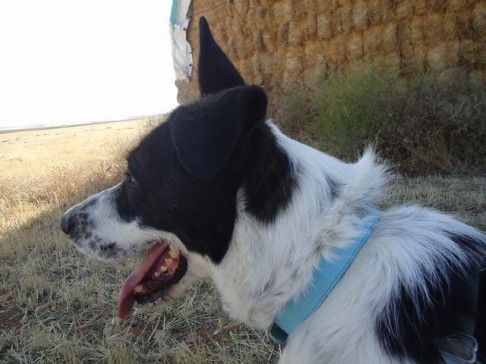 multimedia-foto42664-767-3